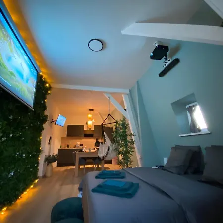 Zen - Roubaix-lille - Balneo - Cinema - Billard Lejlighed